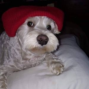 Meet your Posher, Estela